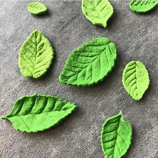 Molde de Silicona Hojas
