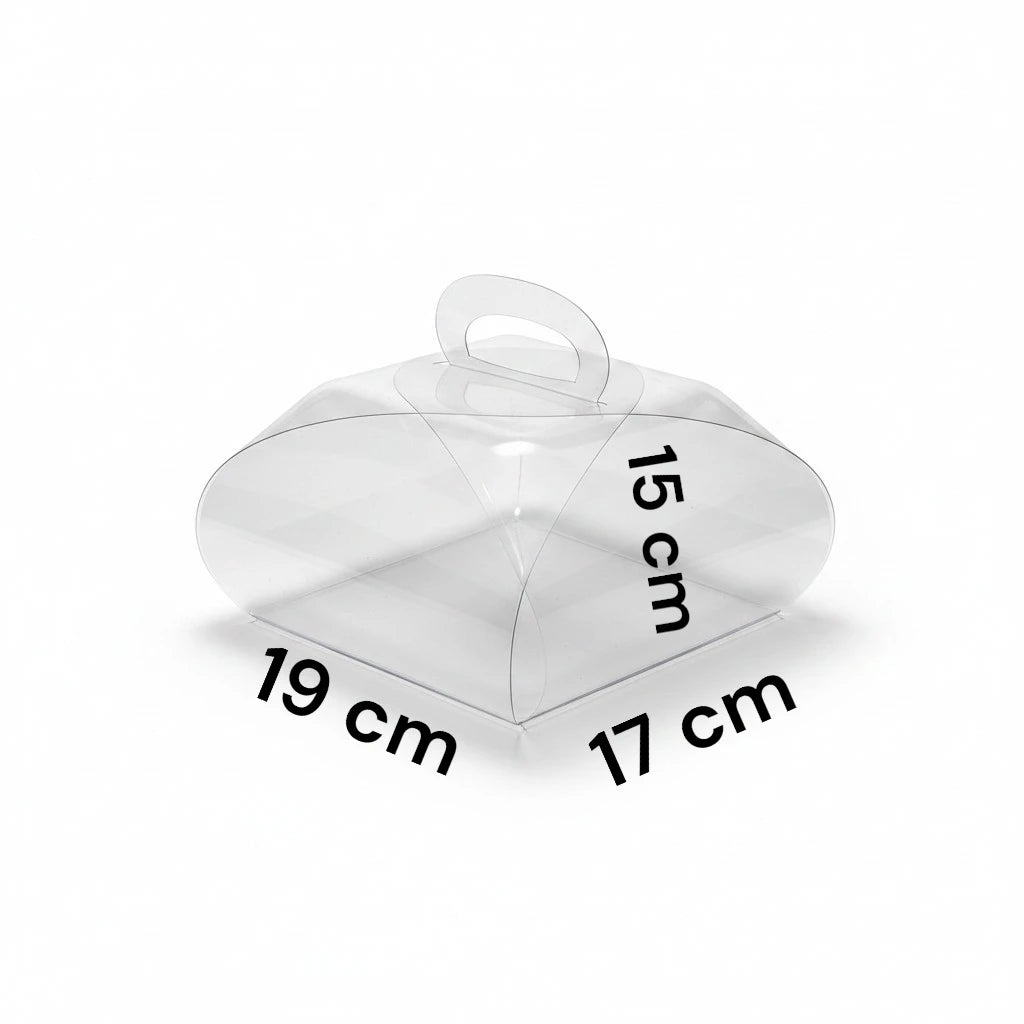 Lonchera de Acetato Transparente - 9 Tamaños Disponibles