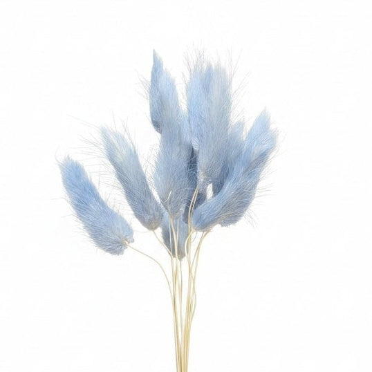 Ramo de flores secas Vallia Repostería de colas de conejo color azul sereno con textura aterciopelada