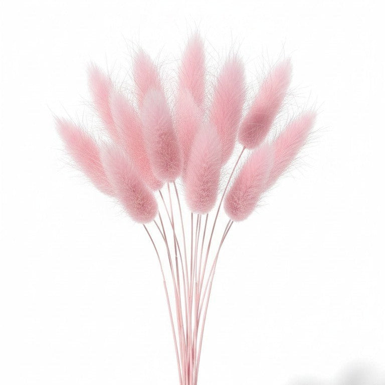 Ramo de flores secas Vallia Repostería de colas de conejo color rosa suave en un jarrón de vidrio transparente