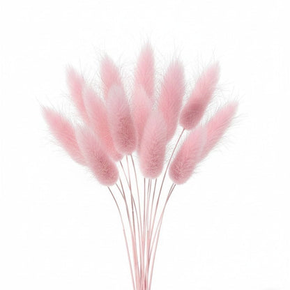 Ramo de flores secas Vallia Repostería de colas de conejo color rosa en un jarrón de vidrio sobre fondo blanco